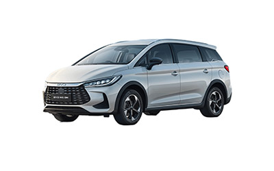 BYD M6